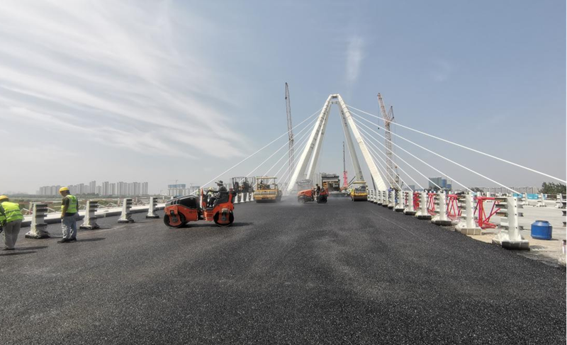 081696733522470011.png 圖片1.png